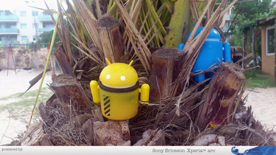 Androidi na palmi