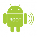 root rooted