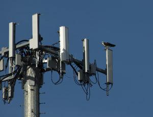 Cell Tower and Osprey