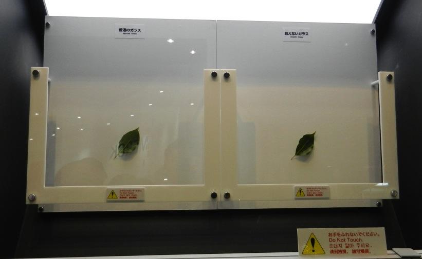 Nippon glass
