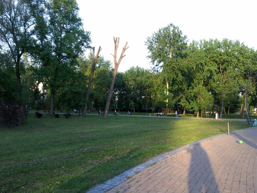 LG Prada fotografija po danu LG Prada fotografija po danu