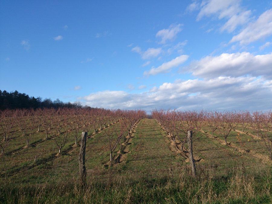 2012-11-30-09.37