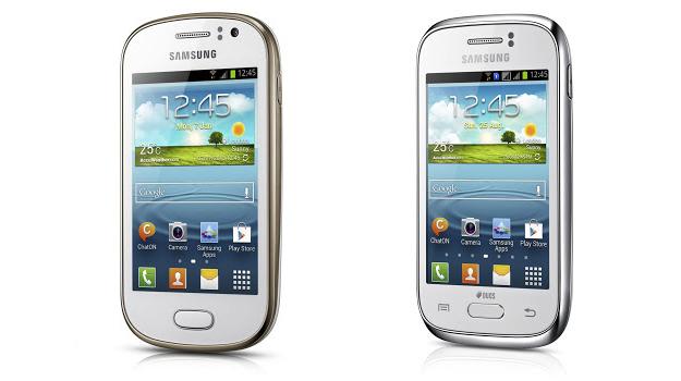 Samsung Galaxy Fame i Young