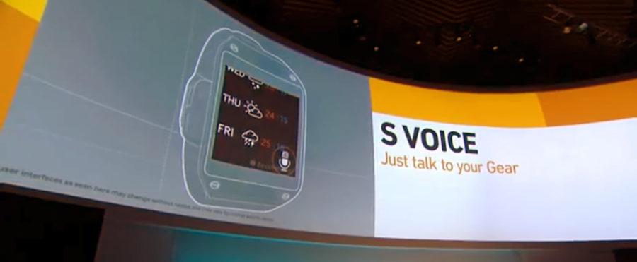 S Voice