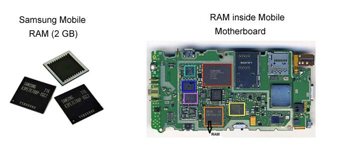 ram