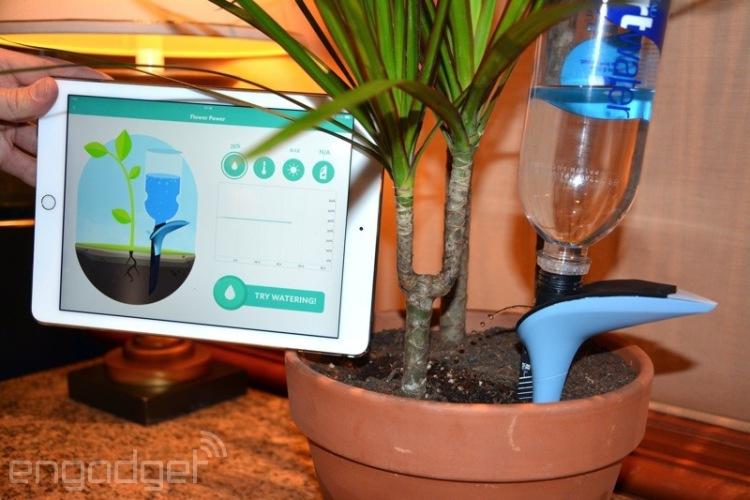 parrot-h2o-pot-2015-01-05-1-1