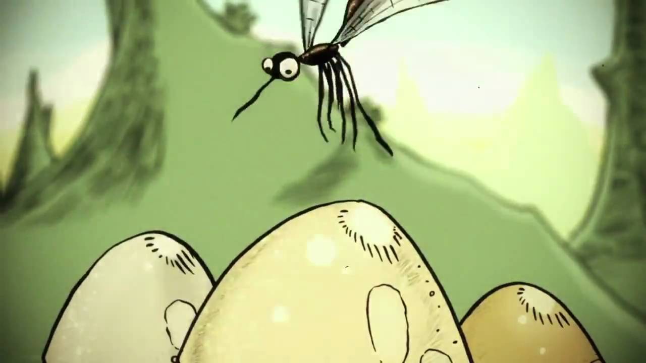 YouTube: Besne ptice stižu u petak