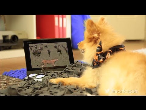 YouTube: Nove najave, nove usluge, novi uređaji!